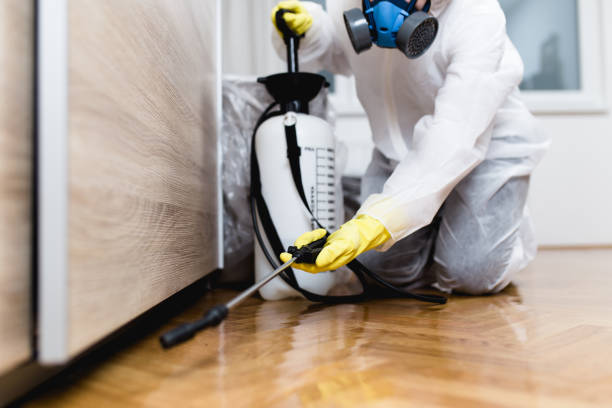 Best Pest Control Near Me in Piney Point Village, TX
