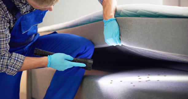 Pest Control for Restaurants in Piney Point Village, TX